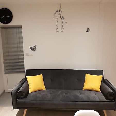 Апартаменти Studio Place De La Barre Le Cosy Макон Екстер'єр фото